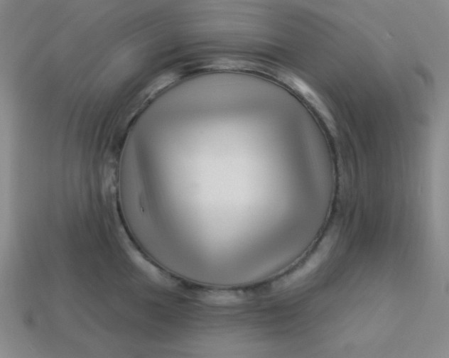 X0000113531049200910091219