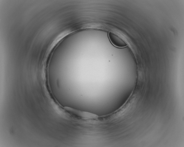 X0000113531050200910091219