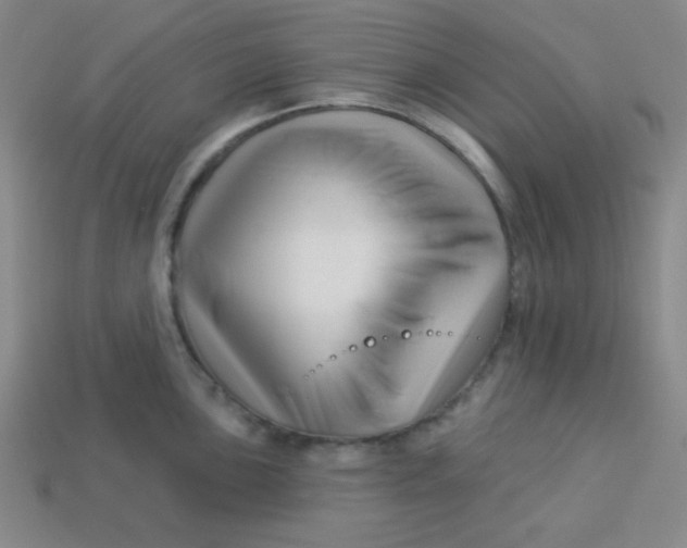 X0000113531051200910091219