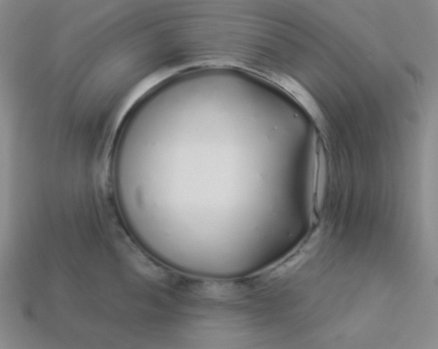 X0000113531052200910091219