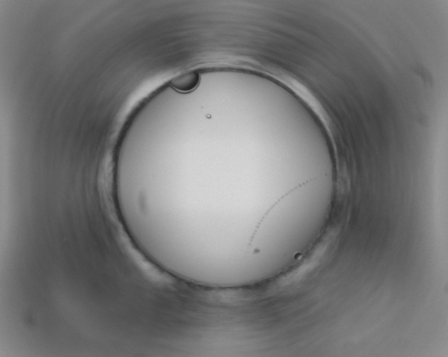 X0000113531053200910091219