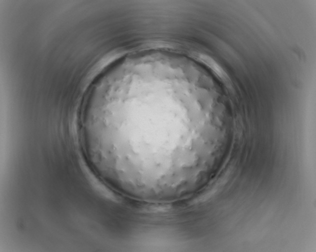 X0000113531055200910091219