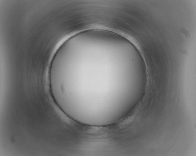 X0000113531056200910091219