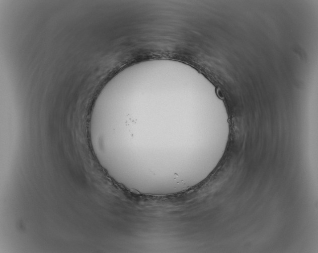 X0000113531057200910091218