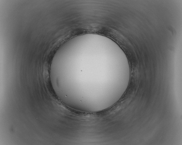 X0000113531058200910091218