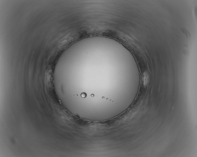 X0000113531059200910091218