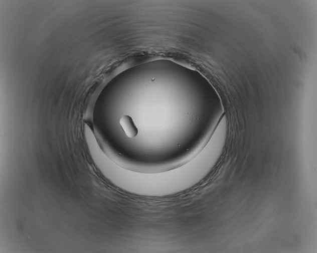 X0000113531060200910091218