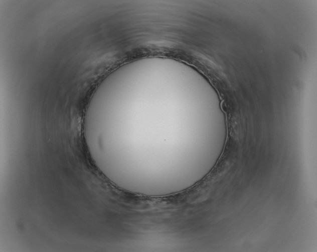 X0000113531061200910091218