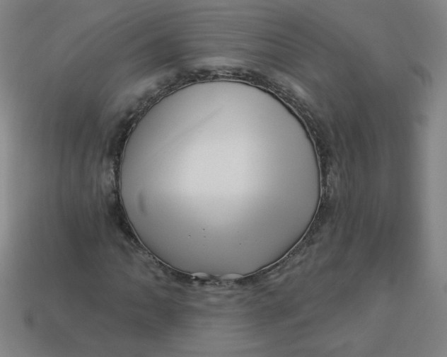 X0000113531062200910091218