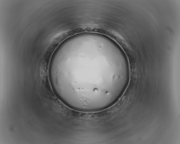 X0000113531063200910091218