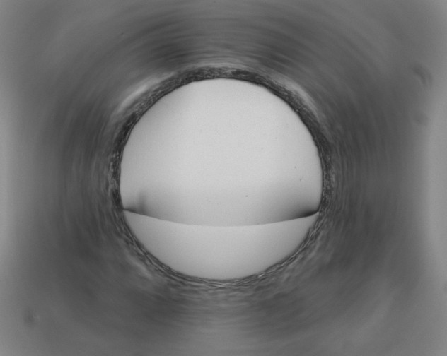 X0000113531064200910091218