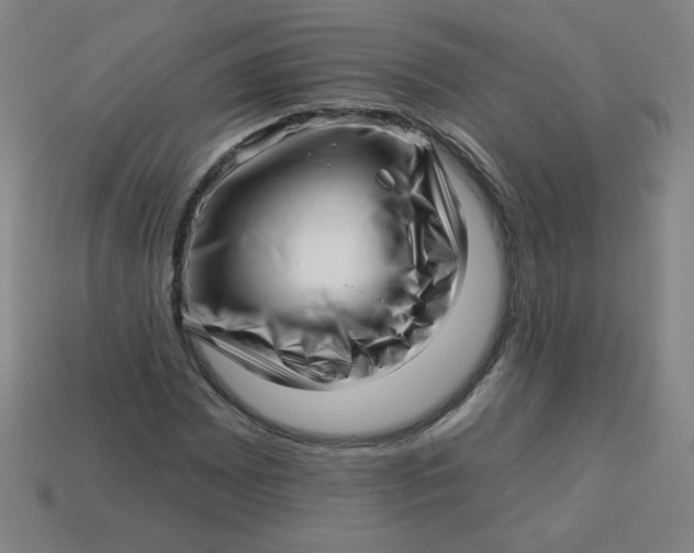 X0000113531065200910091218