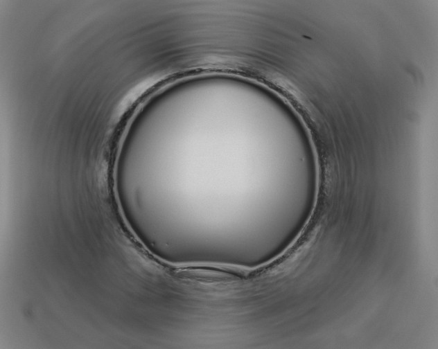 X0000113531066200910091218