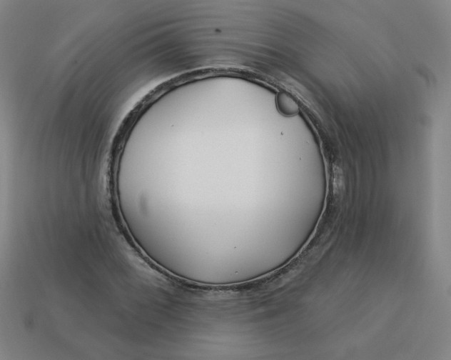 X0000113531068200910091218