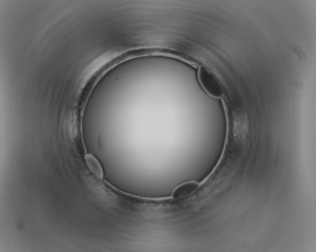 X0000113531069200910091218