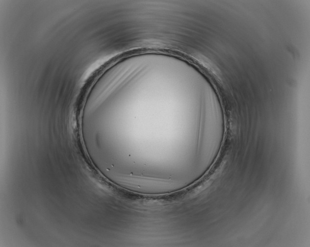 X0000113531070200910091218