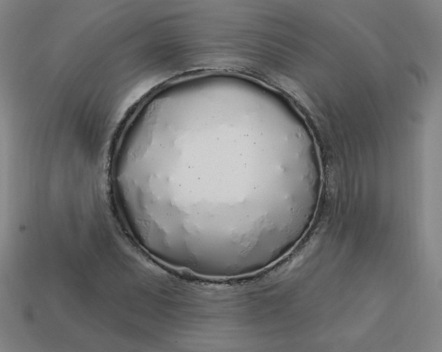 X0000113531071200910091218