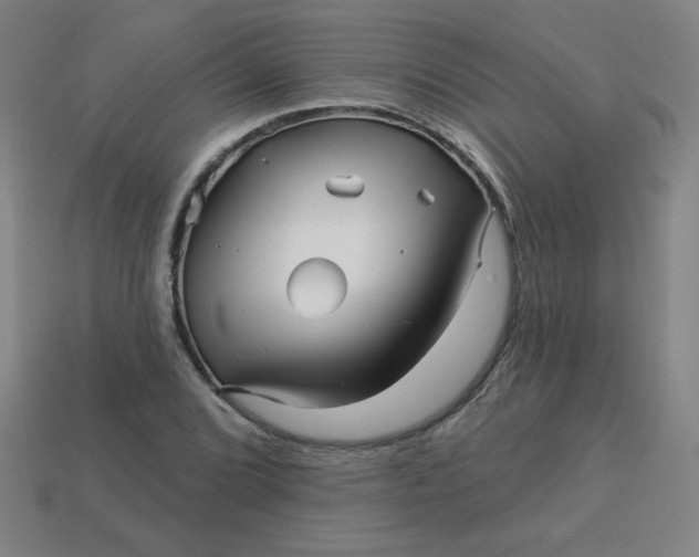 X0000113531072200910091218