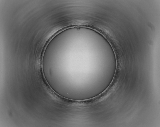 X0000113531073200910091218