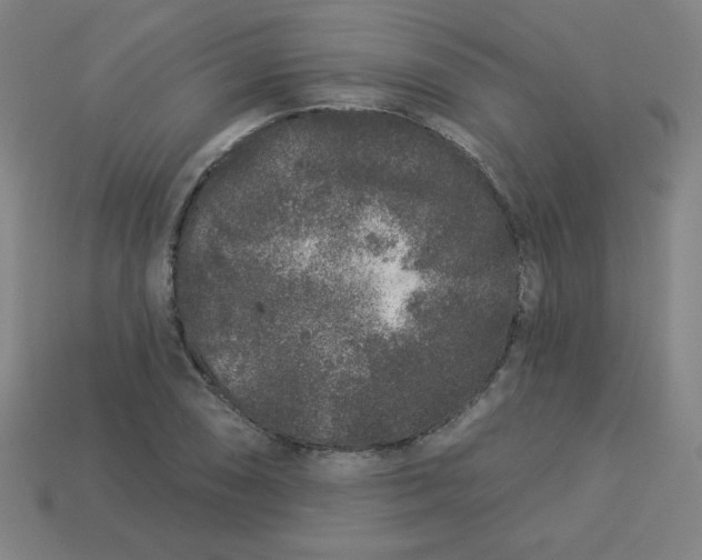 X0000113531074200910091218