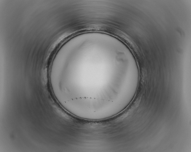 X0000113531075200910091218