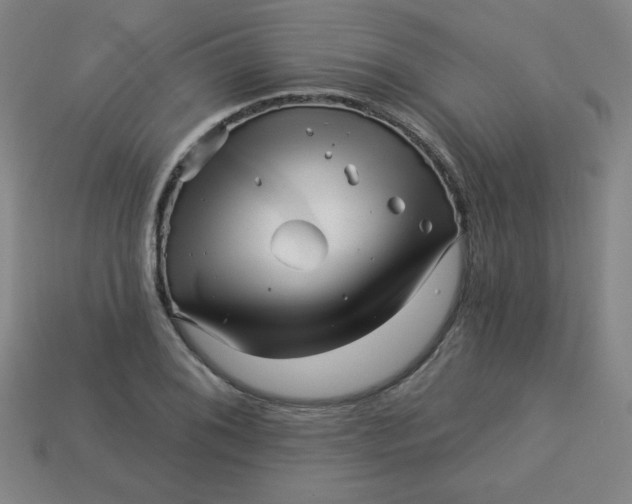 X0000113531076200910091218