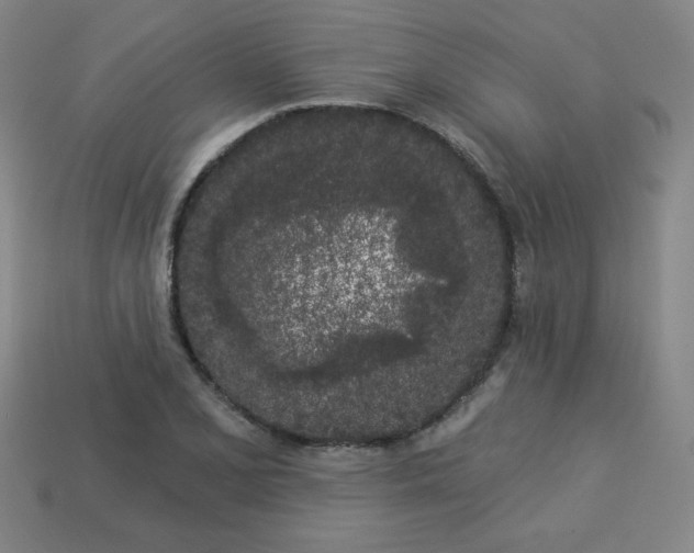 X0000113531077200910091218