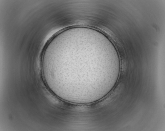 X0000113531078200910091218