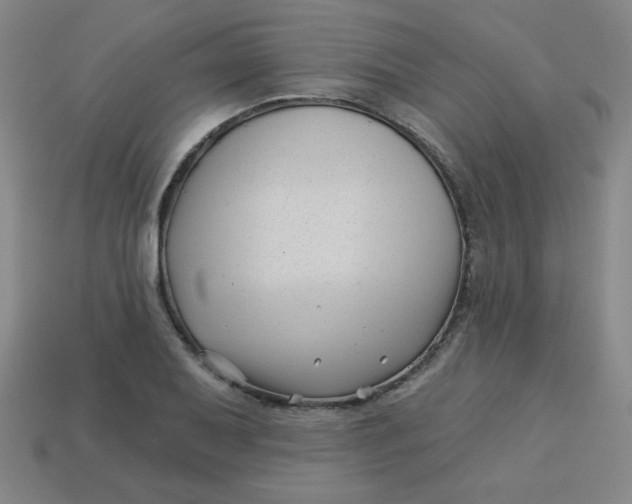 X0000113531079200910091218