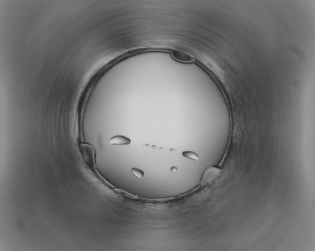 X0000113531080200910091218