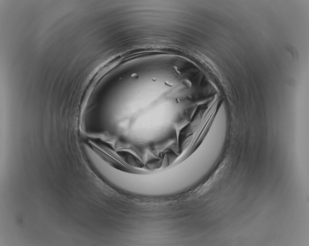 X0000113531081200910091218