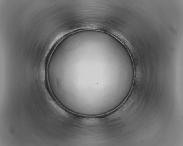 X0000113531083200910091218