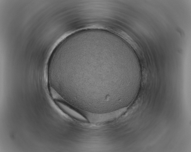 X0000113531084200910091218