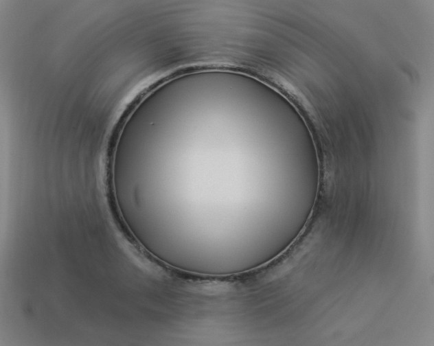 X0000113531085200910091218