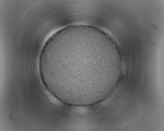 X0000113531086200910091218