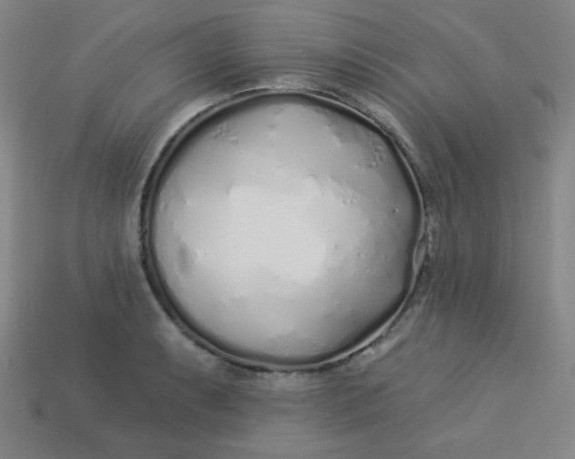 X0000113531087200910091218