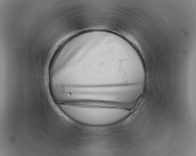 X0000113531088200910091218