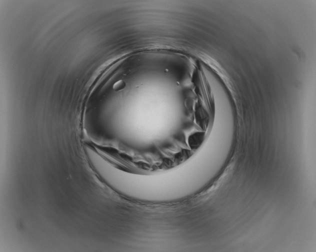 X0000113531089200910091218