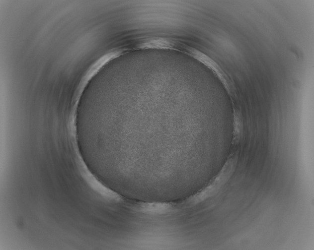 X0000113531090200910091218