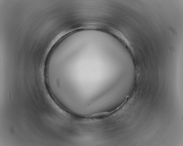 X0000113531091200910091218