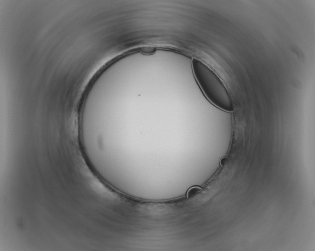 X0000113531092200910091218