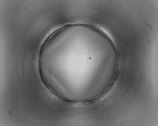 X0000113531093200910091218