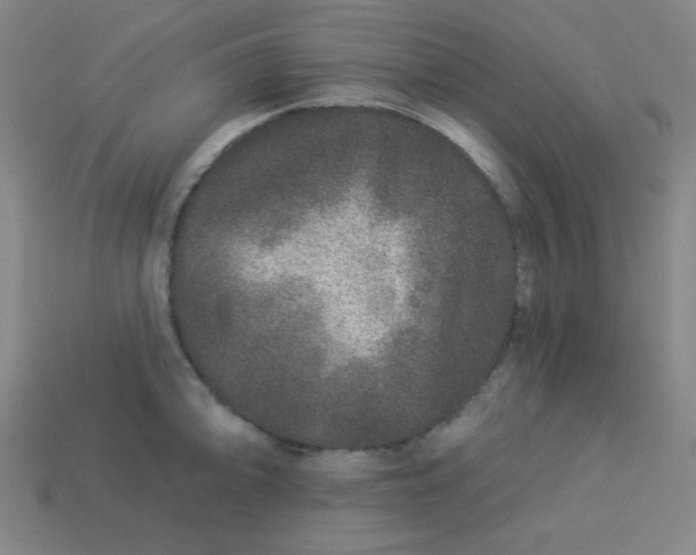 X0000113531094200910091218