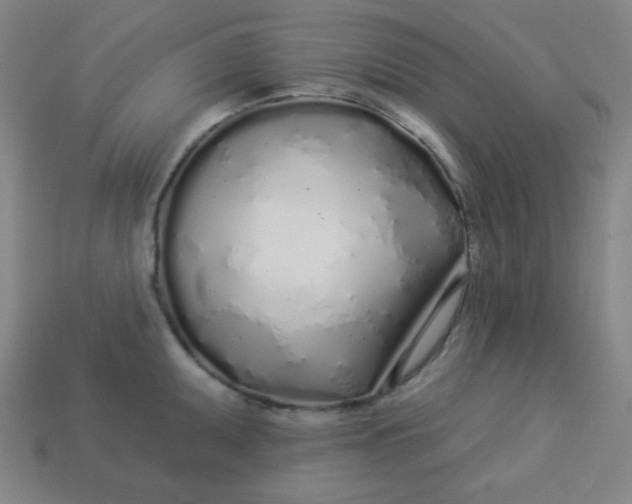 X0000113531095200910091218