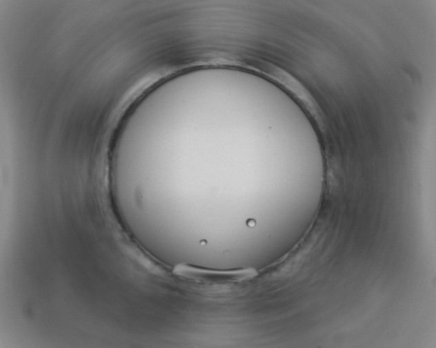 X0000113531096200910091218