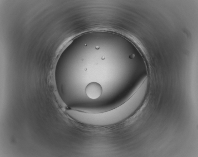 X0000113531097200910091218