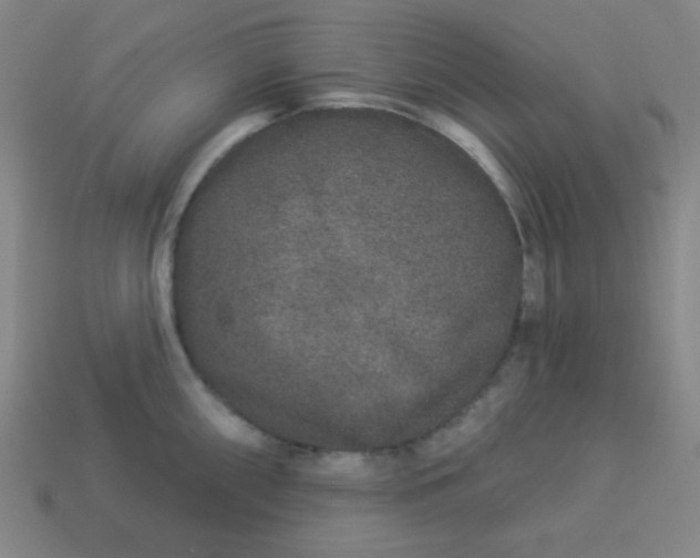 X0000113531098200910091218