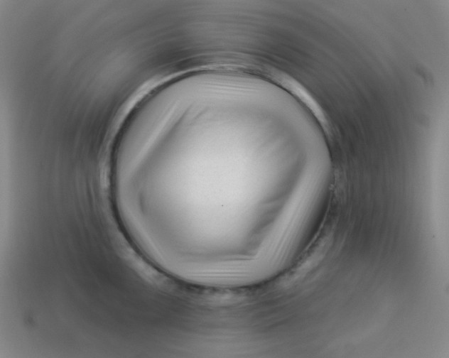 X0000113531099200910091218