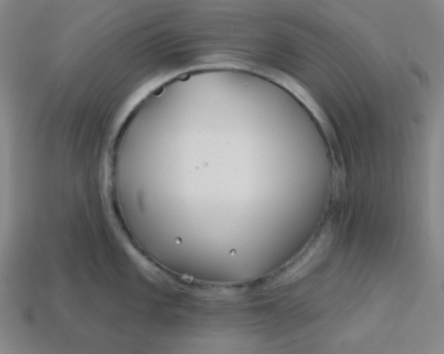 X0000113531101200910091218