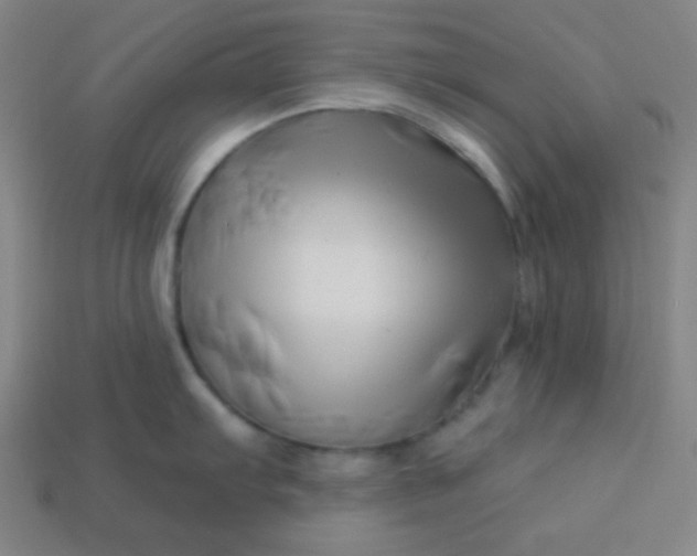 X0000113531103200910091218